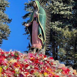 Meet your Posher, Pedro